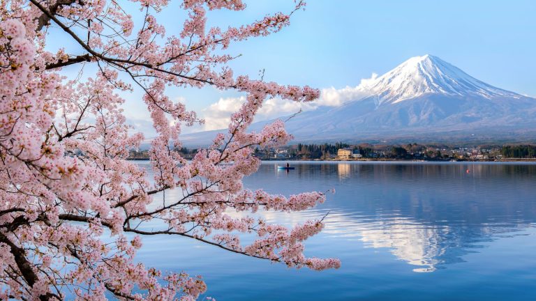 Explore o Japão com Tranquilidade: Guia Completo e Seguro para Viajantes Portugueses