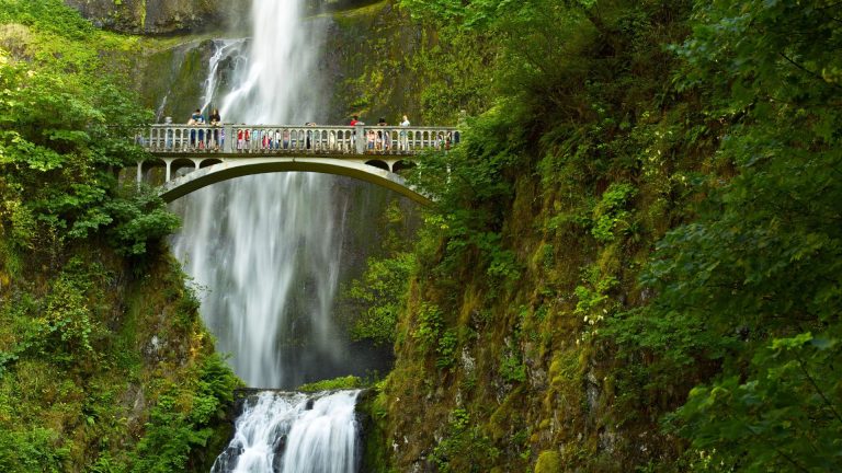 Viajar com Sustentabilidade: Guia Completo para um Turismo Consciente