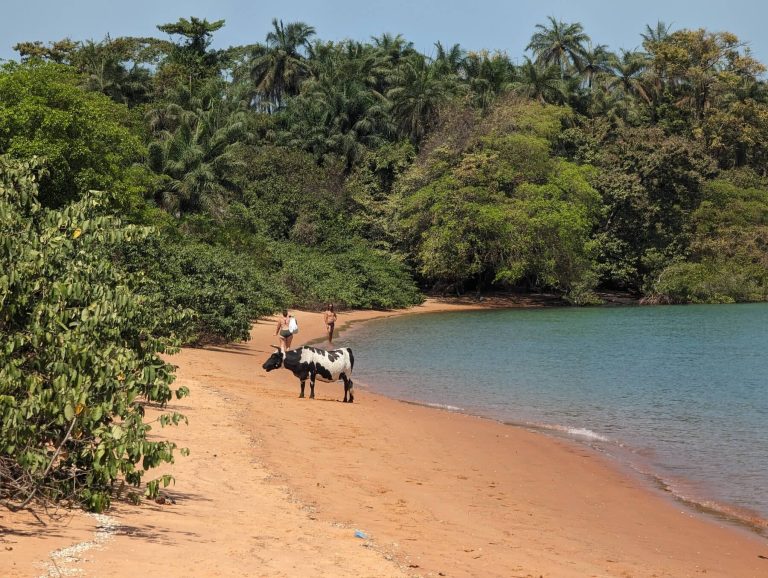 Descobrir a Guiné-Bissau: Dicas Essenciais para uma Viagem Segura e Memorável
