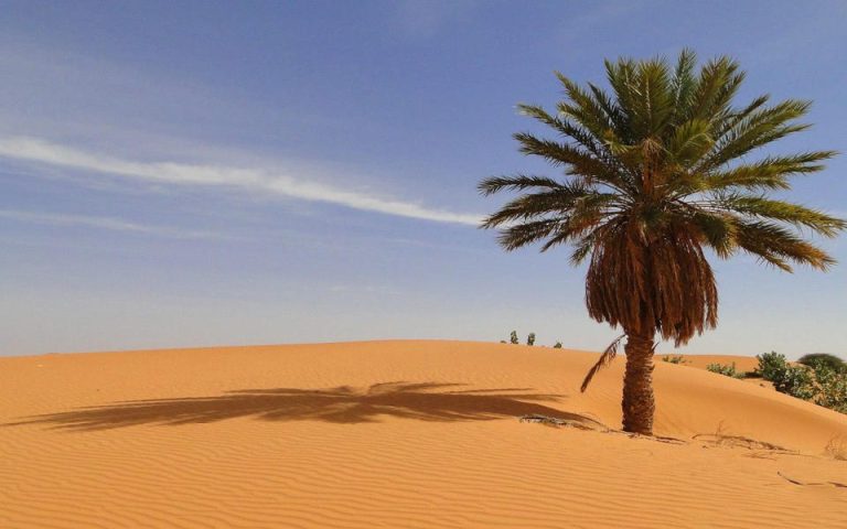Viajar para a Mauritânia: Guia Completo e Seguro