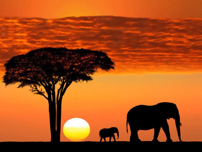 Viajar para a Tanzânia: Dicas Essenciais para Explorar Safaris, Zanzibar e Muito Mais